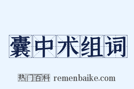 囊中术组词是什么意思的图片